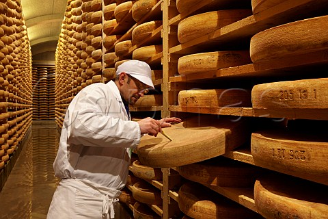 Mr Claude Querry using a cheese iron to check quality and development of Comt cheeses in the cellars of Fromageries Marcel Petite 100000 wheels age here at any one time Fort Saint Antoine near Malbuisson Doubs France