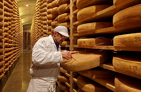 Mr Claude Querry using a cheese iron to check quality and development of Comt cheeses in the cellars of Fromageries Marcel Petite 100000 wheels age here at any one time Fort Saint Antoine near Malbuisson Doubs France