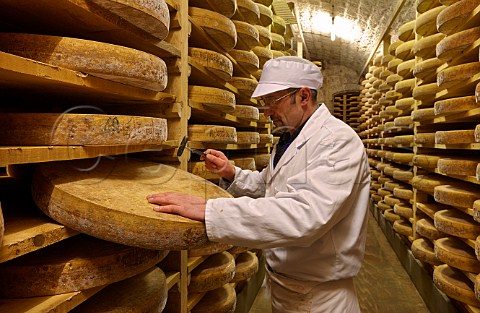 Mr Claude Querry tapping with a small hammer to check quality and development of Grand Cru Comt cheeses at least 18 months old in the cellars of Fromageries Marcel Petite 100000 wheels age here at any one time Fort Saint Antoine near Malbuisson Doubs France