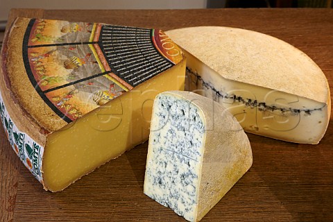 Comt Morbier and Bleu de Gex cheeses on sale in La Cave de Comt Arbois Jura France