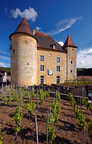 Chteau Pcauld and demonstration vineyard Arbois Jura France