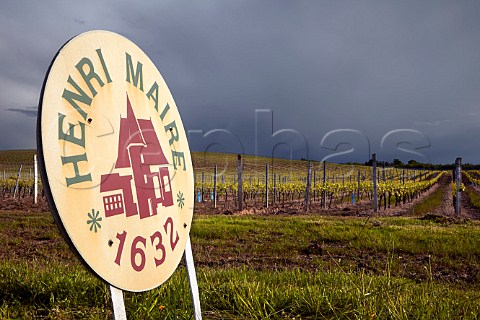 Henri Maire sign and vineyard at Domaine de Grange Grillard Arbois Jura France