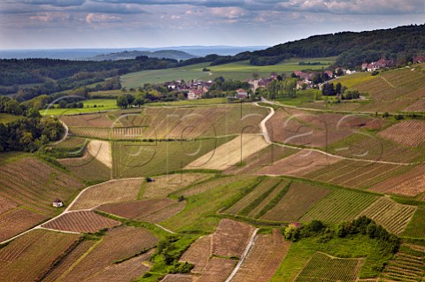 MentruleVignoble village and vineyards viewed from ChteauChalon Jura France