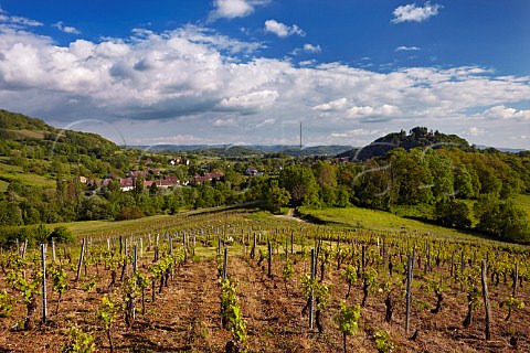 Vineyards above village of Vallire Near Ltoile Jura France   Ltoile
