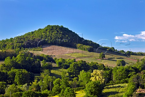 Vineyards on slopes of a butte hillock near Ltoile Jura France  Ltoile