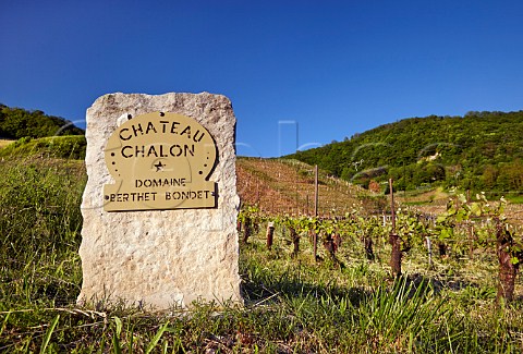 Marker stone for vineyard of Domaine BerthetBondet ChteauChalon Jura France  ChteauChalon