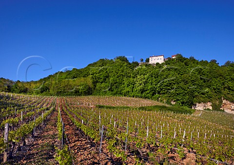 Vineyards below the hilltop village of ChteauChalon Jura France  ChteauChalon