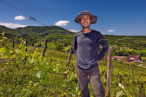 Kenjiro Kagami in his Chardonnay vineyard Domaine des Miroirs Grusse Jura France Ctes du Jura