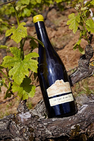 Bottle of Les Vignes de mon Pre and old vine in vineyard of Domaine Ganevat La Combe Rotalier Jura France Ctes du Jura