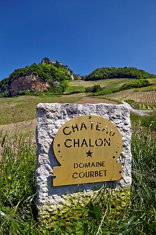 Marker stone in vineyard of Domaine Courbet below the hilltop village of ChteauChalon Jura France  ChteauChalon