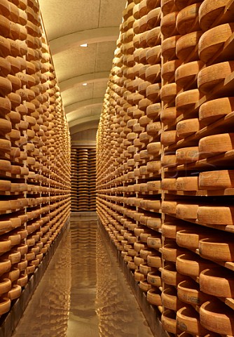 Comt cheese ageing in the cellars of Fromageries Marcel Petite 100000 wheels age here at any one time Fort Saint Antoine near Malbuisson Doubs France