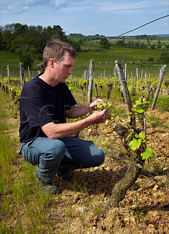 Philippe Dugois in Grevillire vineyard of Domaine Daniel Dugois  Trousseau vines planted in 1956 Les Arsures Jura France Arbois