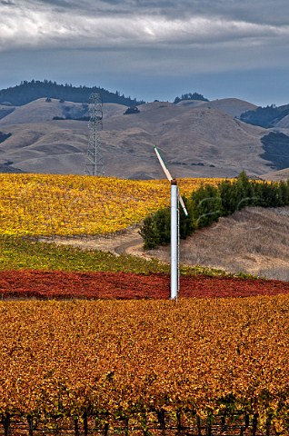 Wind machine in Edna Ranch Mountainside vineyard of Tolosa Estate San Luis Obispo California Edna Valley
