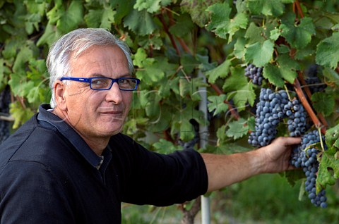 Paolo Manzone with Nebbiolo grapes in his Meriame vineyard Serralunga dAlba Piedmont Italy Barolo