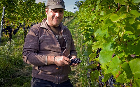 Bruno Schimpf in vineyard of Weingut Siegrist  Leinsweiler Pfalz Germany