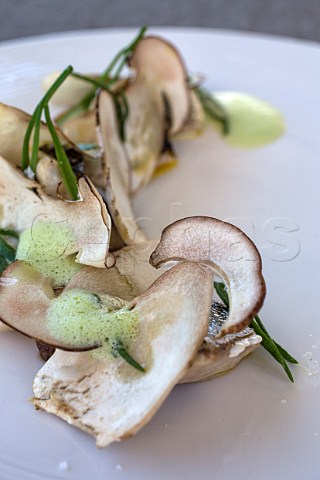 Golden Grey Mullet with porcini mushrooms and marsh samphire Chef Antonia Klugmann at Restaurant Venissa on the island of Mazzorbo Venice Lagoon Veneto Italy