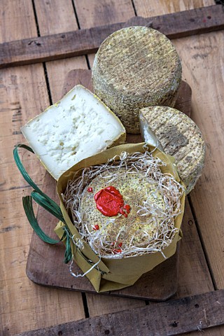 Gianduiotto cheese made by La Giunc  a goats cheese known as magicians hat because of its shape  Fobello Piemonte Italy