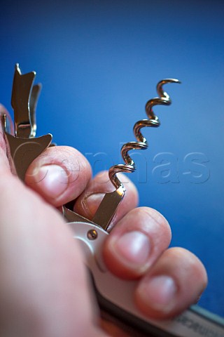 Hand holding corkscrew