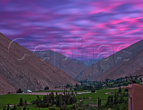 Vineyards at dusk Pisco Chile  Elqui Valley