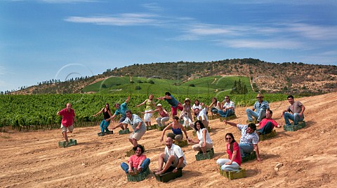 Winemakers who are members of MOVI  the Movement of Independent Vintners Chile