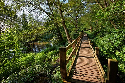Raised walkway by the River Mole The Ledges West End Common Esher Surrey England