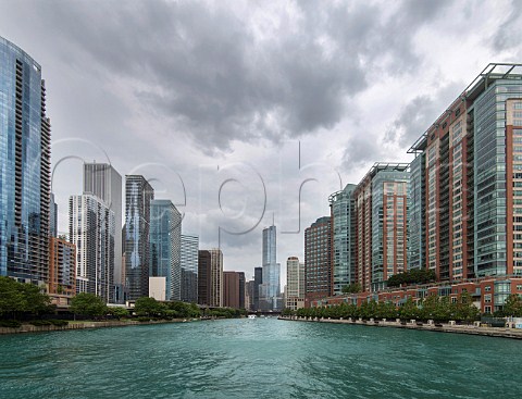 Chicago as viewed from river whilst on the Architectural River Tour  Illinois USA