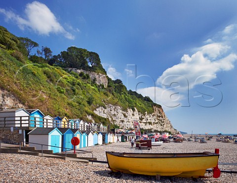 Beach huts below the cliffs at Beer South Devon UK