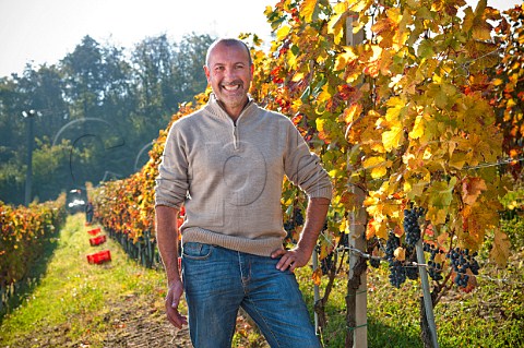 Claudio Fenocchio with Barbera grapes in the Vigna Saudri vineyard of Giacomo Fenocchio  Monforte dAlba Piemonte Italy