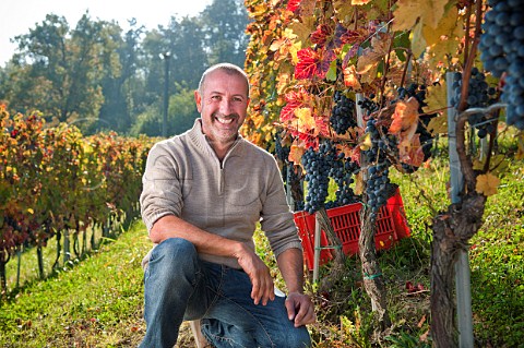 Claudio Fenocchio with Barbera grapes in the Vigna Saudri vineyard of Giacomo Fenocchio  Monforte dAlba Piemonte Italy