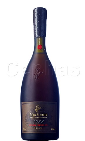 Bottle of 1998 Rmy Martin Cognac