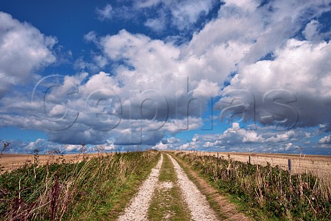 Bridlepath on the South Downs near Bostal Hill  Alfriston Sussex England