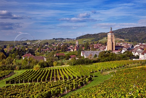 View over vineyards at En Paradis with the Church of StJust and Collegiate Church of NotreDame  Arbois Jura France