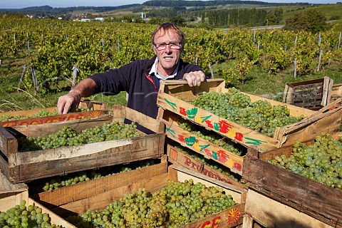 Frdric Lornet with harvested Savagnin grapes in boxes ready to be dried for Vin de Paille MontignylsArsures Jura France Arbois