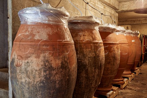 Maceration of Trousseau grapes in amphorae they are kept under a blanket of Carbon Dioxide CO2 to prevent oxidation as no sulphur is used here Domaine Andr et Mireille Tissot MontignylsArsures Jura France Arbois