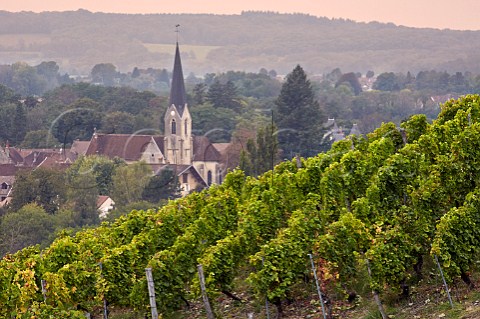 SousRoche vineyard above church and village of Voiteur  Jura France  ChteauChalon