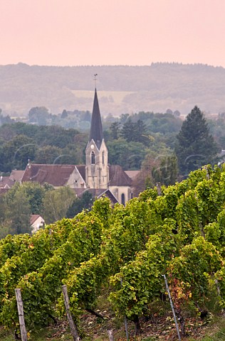 SousRoche vineyard above church and village of Voiteur  Jura France  ChteauChalon