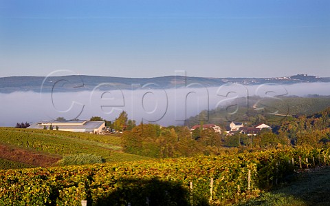 Winery of Michel Bailly with view over the fogfilled Loire Valley to the hilltop town of Sancerre Les Loges near PouillysurLoire Nivre France  PouillyFum