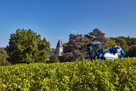 Machine harvesting Sauvignon Blanc grapes in vineyard at Chteau de Tracy TracysurLoire Nivre France  PouillyFum