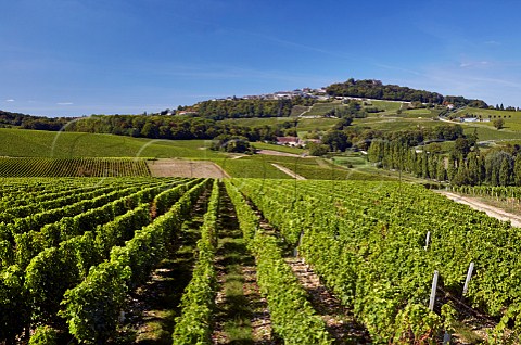 The hilltop town of Sancerre viewed over vineyards from the south  Cher France Sancerre