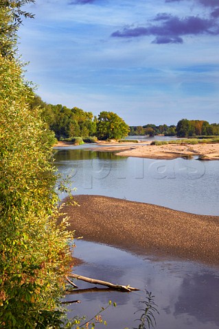 Sandbanks in the treelined River Loire at PouillysurLoire Nivre France