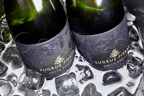 Bottles of Sugrue Pierre sparkling wine in an ice bucket