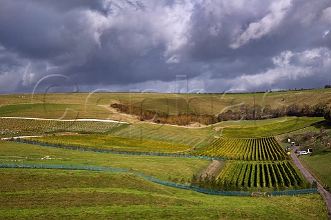Stormy clouds over Bride Valley Vineyard with a  seam of chalk soil visible on left Litton Cheney Dorset England