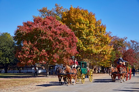 Horse drawn carriages on Duke of Gloucester Street Colonial Williamsburg Virginia USA