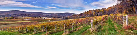 Breaux Vineyards in the autumn Purcellville Virginia USA