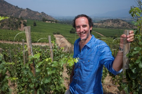 Cristbal Undurraga in vineyard of Via Koyle Colchagua Valley Chile