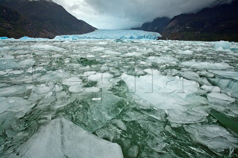 Floating ice below the San Rafael Glacier Northern Patagonian Ice Field Patagonia Chile
