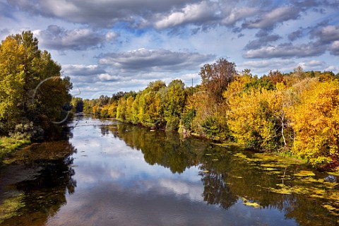 Treelined banks of the River Cher at Quincy Cher France