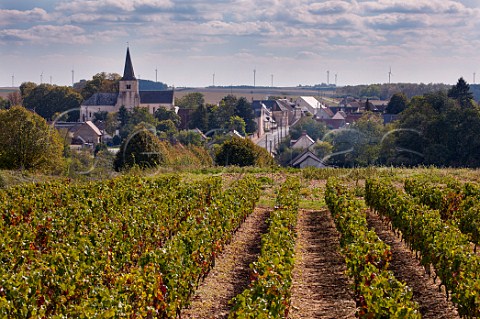 Vineyard at Lazenay Cher France  Reuilly