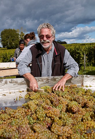 Jacky Blot died 2023 with Chenin Blanc grapes on the sorting table in his Clos de Mosny vineyard Domaine de la Taille aux Loups Husseau IndreetLoire France MontlouissurLoire