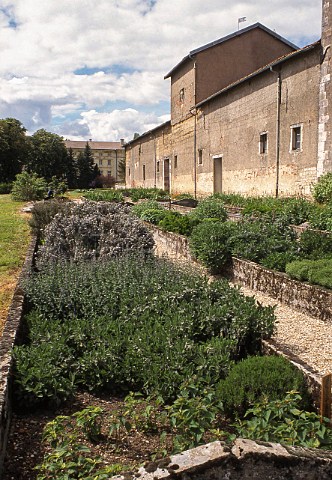 Herb garden at Abbaye de Cteaux SaintNicolaslesCteaux Cte dOr France